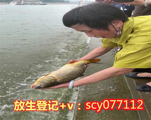 漳州放生甲鱼,漳州周边哪里最适合放生鸭子,漳州中元节放生功德