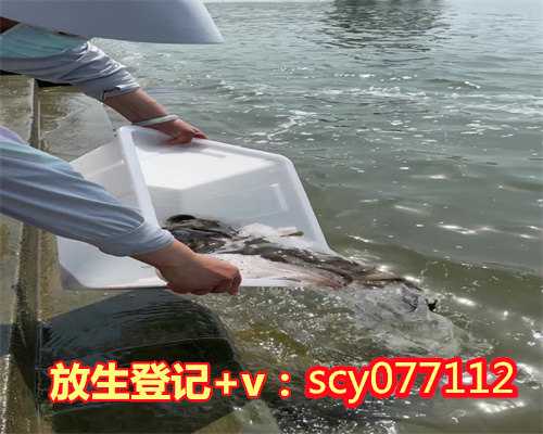 惠州放生鱼苗，惠州哪里可以放生动物的，惠州放生组的联系方式