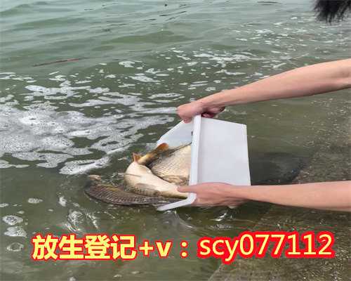 <b>放生救命案例桂林，桂林公园可以放生淡水鱼吗【鱼钓上来放生还能活吗】</b>